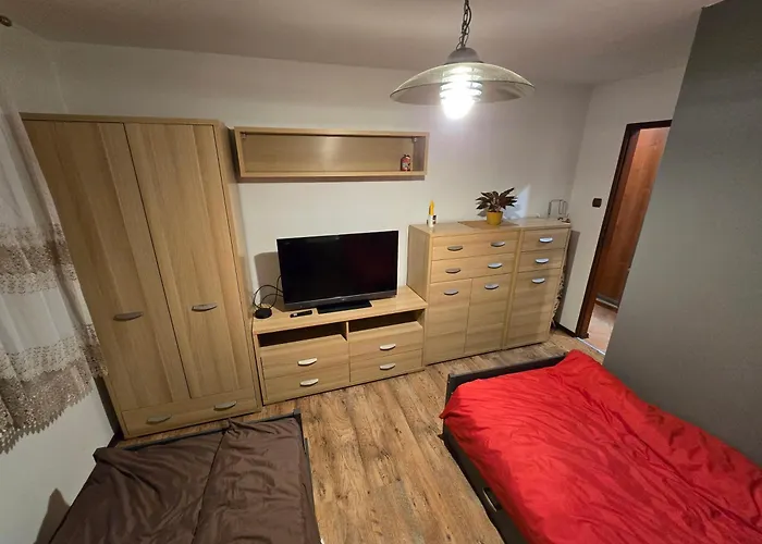 Apartament Sosnowiec סוסנוביץ'